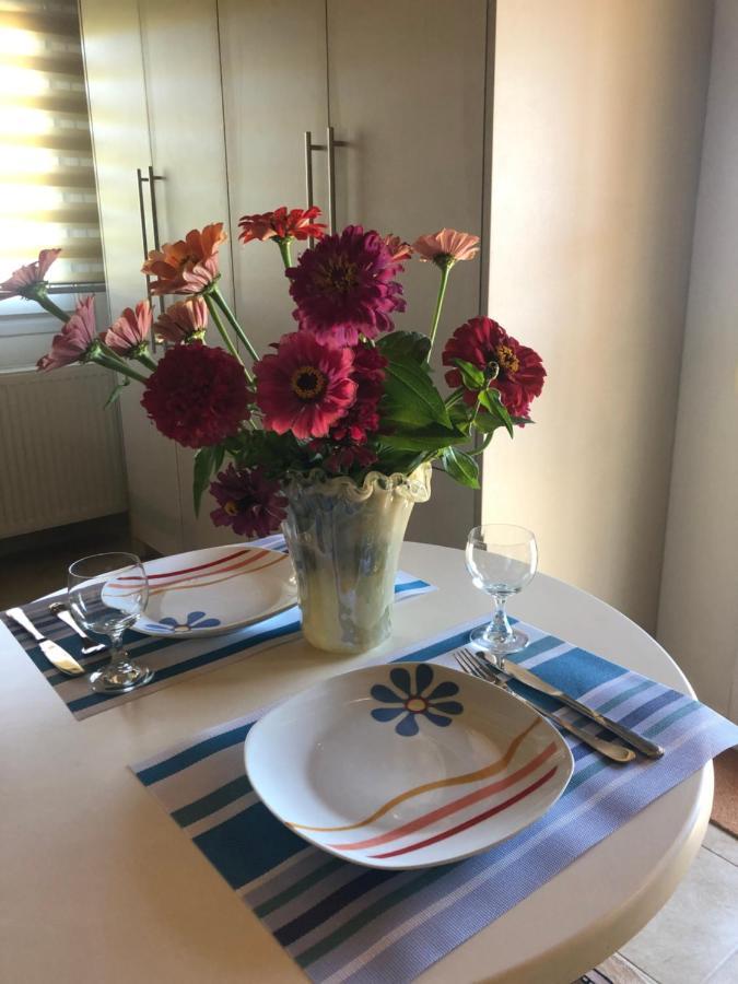 Apartment όμορφη σοφίτα 5λεπτά από το κέντρο της πόλης *
